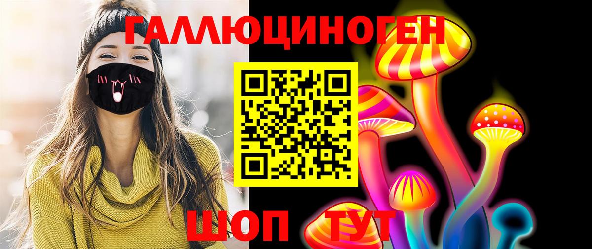 Галлюциногенные грибы Psilocybe  Вход с VPN  Сокол  Псилоцибиновые грибы мицелий 