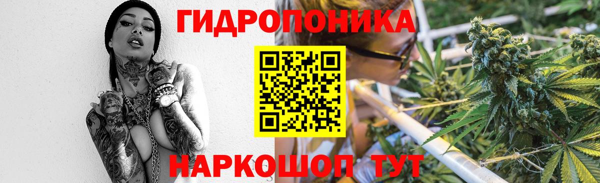 Канабис ГИДРОПОН Сокол